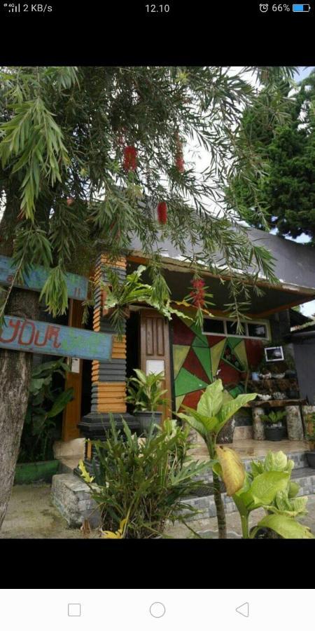 Isi Langa Home Stay Bajawa Экстерьер фото